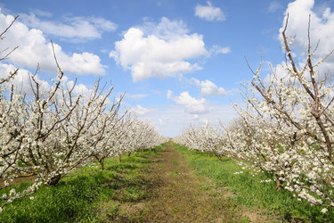 Similar image 12978911