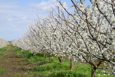 Similar image 12978912