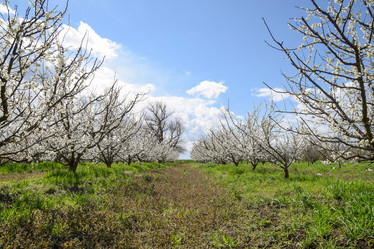 Similar image 12978923