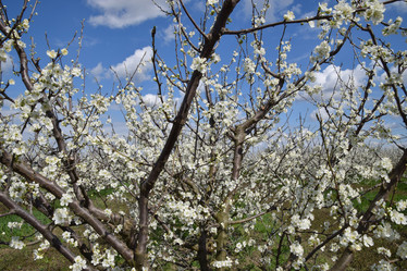 Similar image 12989707