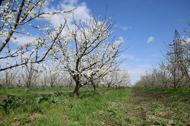 Similar image 12989727