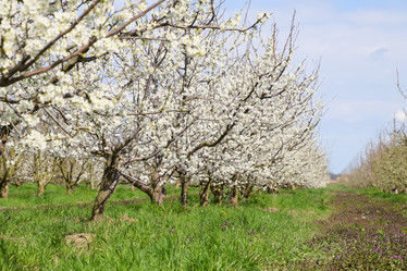 Similar image 12989728