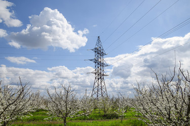 Similar image 12989906