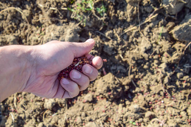 Similar image 12989929