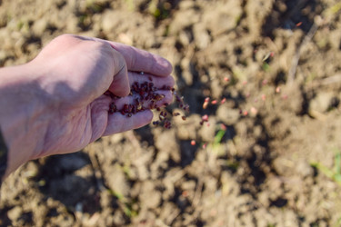 Similar image 12989958