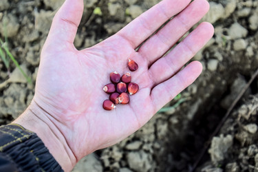 Similar image 12989960