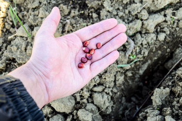 Similar image 12989961