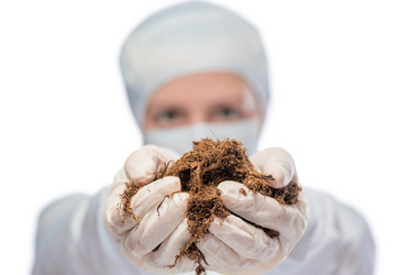 Similar image 12692899