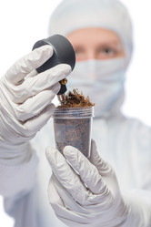 Similar image 12692900