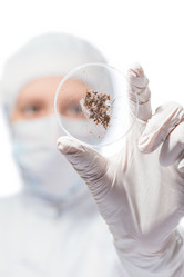 Similar image 12692901