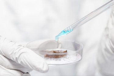 Similar image 12692902