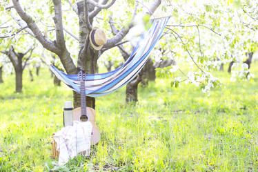 Similar image 12989560