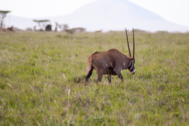 Similar image 12978058