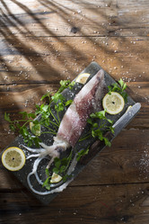 Similar image 12692663