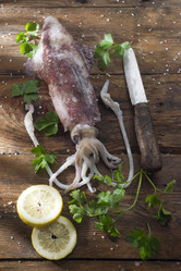 Similar image 12692683