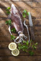 Similar image 12692684