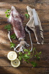 Similar image 12692686