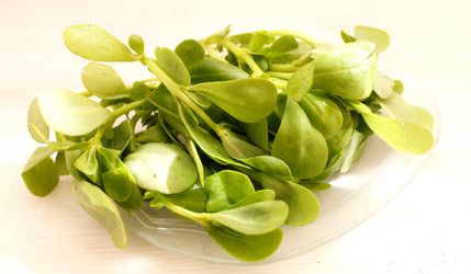 Similar image 12980226