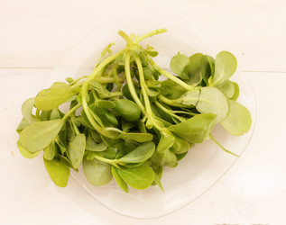 Similar image 12980228