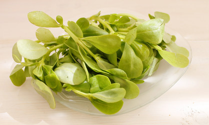 Similar image 12980229