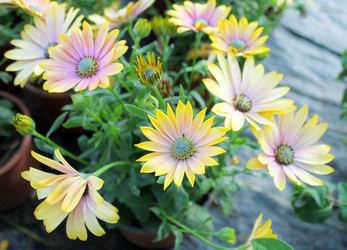 Similar image 12980254