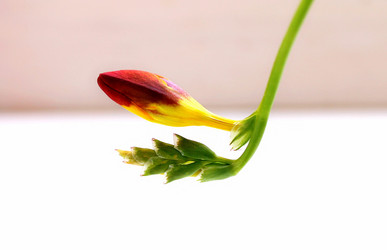 Similar image 12980258