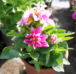 Similar image 12980259