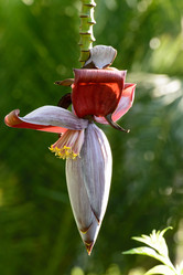 Similar image 12691403