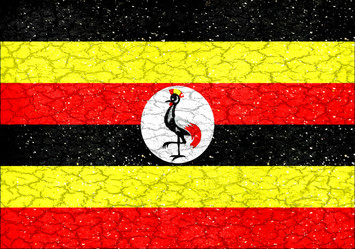 Similar image 12996823