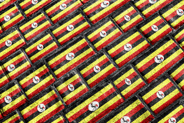 Similar image 12996842