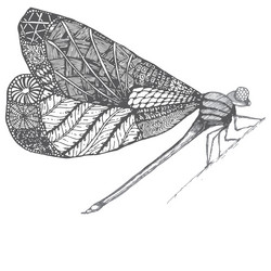 Similar image 12691566