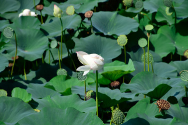 Similar image 12989730