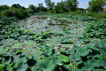 Similar image 12989933