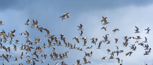 Similar image 12996675