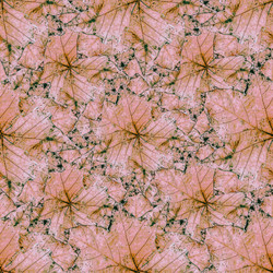 Similar image 12996854