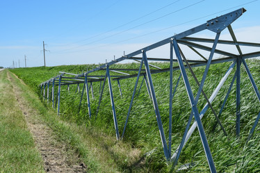 Similar image 12989732