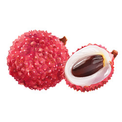 Similar image 12693136