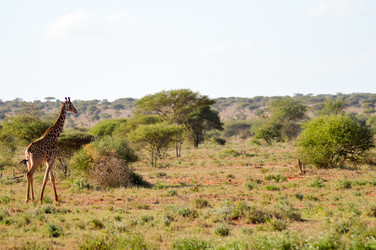 Similar image 12978088