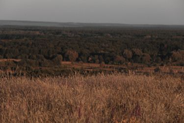 Similar image 12690983