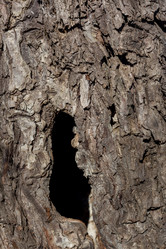 Similar image 12996653