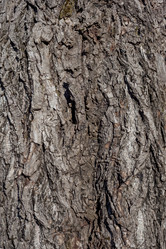 Similar image 12996654