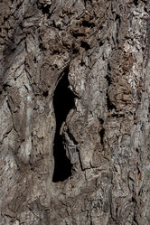 Similar image 12996656