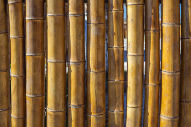 Similar image 12996679