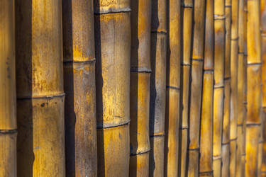 Similar image 12996680