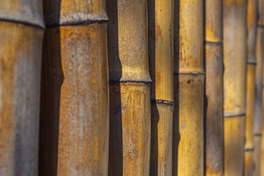 Similar image 12996681