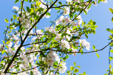 Similar image 12982641