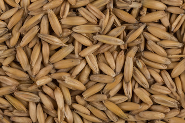 Similar image 12982710