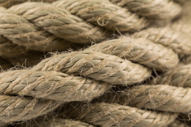 Similar image 12982711