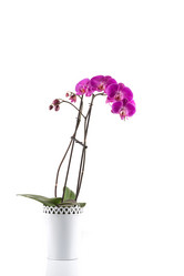 Similar image 12982840