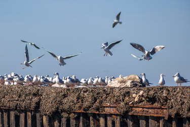 Similar image 12996658